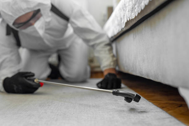 Professional Pest Control technician working in Bradford Woods, PA