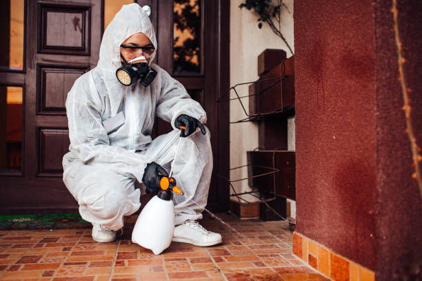 Reliable Emergency Pest Control contractor in Bradford Woods, PA by Nex Pest Control
